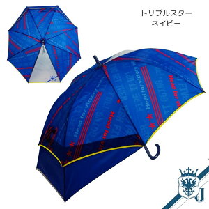 LbY XChP gXtH[P OXt@Co[ J e55cm Œ69cm 1R}NA XCh ̎q j̎q qP LOiyhJsz