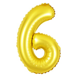 AEgbg ݌ɏiy  D 40cm STCY C Xg[&t S[h z  io[ o[ p[eB[ 1 2 3 2Ώt a  100j  