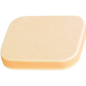 COVERMARK�i�J�o�[�}�[�N�j�p�E�_���[�X�|���WS