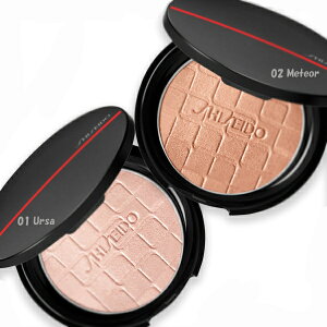 SHISEIDO ()SHISEIDO I[fE vY C~l[^[