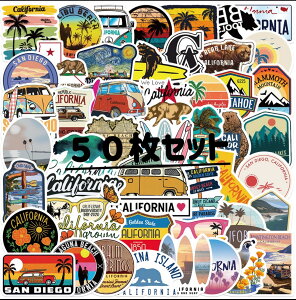 JtHjAXebJ[50Zbg CALIFORNIA V[ h