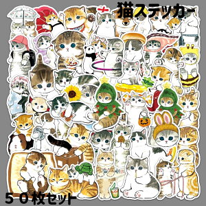 菑LXebJ[ Ղ50Zbg V[