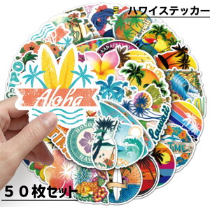 nCXebJ[ HAWAII AnV[ 50Zbg