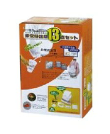 非常持出袋13点セット震災時避難 非常用セット 防災備品 防災グッズ 雑貨 送料無料【欠品・終了時はメール連絡します】