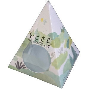 常滑焼スプーン とこさじ 2個入り TS-4037BY パステルブルー・イエローとこなめやき 陶器製スプーン 【楽天倉庫直送】キッチン用品