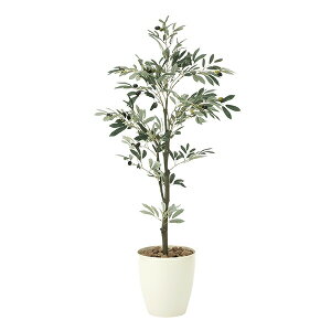 �y�����i�E�労�Ӊ��i �z�I���[�u1.3 909A200 ���G�}�l�H�A�� ���̊y�� 2019 W60×D60×H130cm