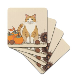 yi siz ȞIƊ`L ? ~j}Șa(o[R[X^[) o[R[X^[ jZbNX ANZT[  L Mtg 蕨 R[X^[ ig leojiro24