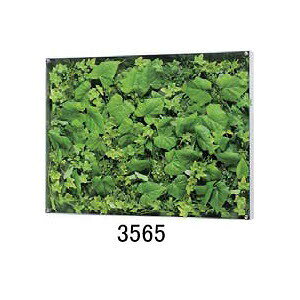 労Ӊi ^BOXt[ EH[O[ 3565or3567 iBsEsEԕiLZEs ϗtA Ǌ| fBXvC  CeA G ObY ^BOXt[