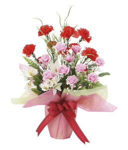 yiE労Ӊi zG}lHA ̊y 2018 ~bNXJ[l[V 858A50 W32×D30×H50cmyʓrꍇEbsO͗L(s̏ꍇ)z