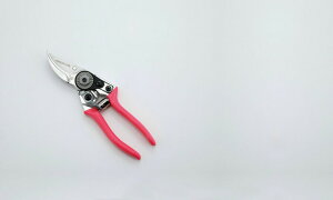 yiE労Ӊiz炭炭nT~ p SV-5776 175×50×20mm 2020STAGE GIFT CATALOG 229V[Y