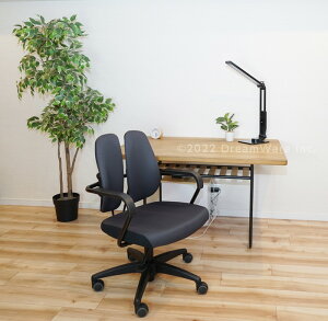 yizDUOREST fIXg DR-260F hbgubN/hbgu[ 59.5×57×84-95cmywVizCeA Ƌ ֎q `FA ItBXƋ