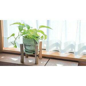 yizA[ovc|bg }[u 13.5×H12.5 `R[&~N/~N&JJI/Vi&`R[/JJI&`R[/~N&/~N&u[x[/~N&sX^`I/Z