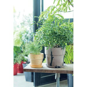 yizA[ovc|bg }[u 19.5×H18.5 `R[&~N/~N&JJI/Vi&`R[/JJI&`R[/~N&/~N&u[x[/~N&sX^`I/Z