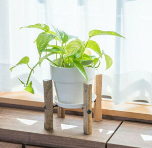 yiztH[fBO|bgX^h 41303 W21×D21×H45 POSH LIVING 2022 Collection GREEN 291V[YywVizCeA ϗtA  Aؔ v^[ Au