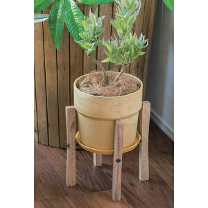 yizA[ovc|bg \bh `R[/~N/Vi//u[x[/ZT~/Z[W/Lbg/P[ POSH LIVING 2022 Collection GREEN 291V[YywVizCe