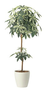 �y�����i�z�~���L�[�p�L��1.6 2456A330 W70×D60×H160cm ���G�}�l�H�A�� ���̊y�� 2024�y�����s�i�z�C���e���A �l�H�ϗt�A�� �A�[�g�t�����[ �M�t�g ���蕨 ��