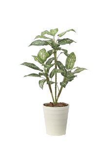 yizfBtFoLA90 2491A100 W50×D50×H90cm G}lHA ̊y 2024ysizCeA lHϗtA A[gt[ Mtg 蕨 