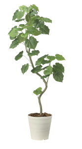 yizcCXgEx[^1.6 2495A450 W70×D55×H160cm G}lHA ̊y 2024ysizCeA lHϗtA A[gt[ Mtg 蕨 