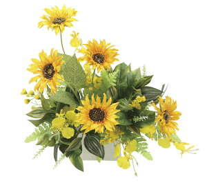 �y�����i�z�q�}���� 2543A80 W36×D28×H33cm ���G�}�l�H�A�� ���̊y�� 2025�y�����s�i�z�C���e���A �l�H�ϗt�A�� �A�[�g�t�����[ �M�t�g ���蕨 ��