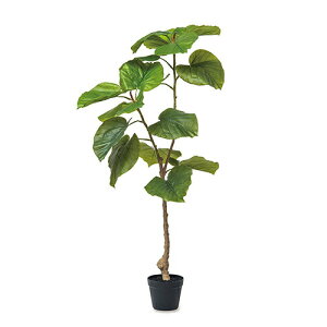 yiztBJX 81130 H120 |bgTCY15×H13 POSH LIVING Collection 2025ywVizCeA CeA lHϗtA tFCNO[