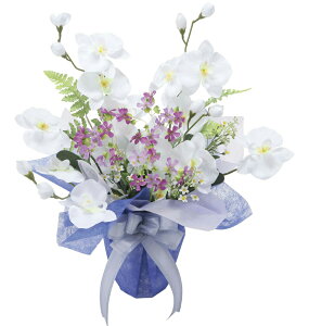 yiza 2587A70 W42×D30×H46cm ԃV[Y G}lHA ̊y 2025ysizCeA lHϗtA   A[gt[ Mtg 蕨 