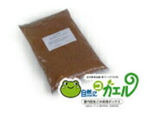 労Ӊi EJG^GRKGpEp`bv GRp[`bv-10S (10L) ws iBEEEԕiELZEs 𑬓x 𑬓xx