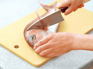 �y�����i�E�労�Ӊ��i �z�R�ۃS�����܂ȔN���[���X�^�[��T�C�Y