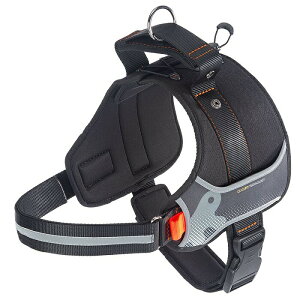 HERCULES n[lX XL ubN/bhybgObY p  n[lX [h }WbNe[v