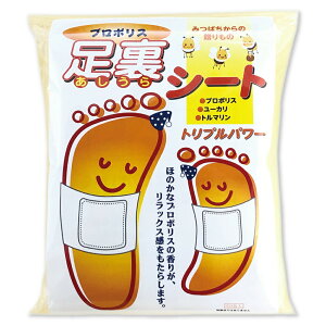 v|XV[g 30yyVqɒhzywViz I̕{ V[g ނ J 邳  v|X [J g}