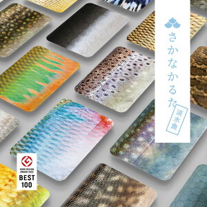 y[ցzȂ邽 W 24gyyVqɒhzywViz Ȃ邽 Kbg{ 邽 J[hQ[ CŗVׂ 낱 t a v[g q 