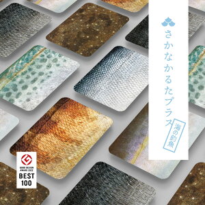 Ȃ邽vX C̒ދ 6gyyVqɒhzywViz Ȃ邽 Kbg{ 邽 J[hQ[ CŗVׂ 낱 t a v[g q  