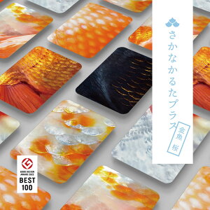 Ȃ邽vX   6gyyVqɒhzywViz Ȃ邽 Kbg{ 邽 J[hQ[ CŗVׂ 낱 t a v[g q  