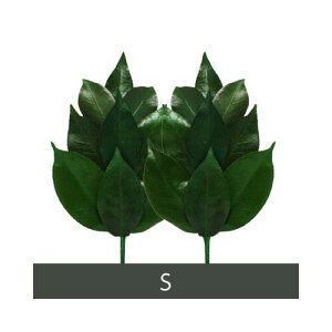 【2個セット】A&K プリザーブド榊 Sサイズ:FS-002S 1対 x 2【ヘルシ価格】プリザーブド加工 丹波産の天然椿葉を使用 仏壇 仏具 さかき