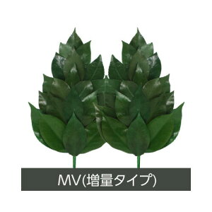 【2個セット】A&K プリザーブド榊 MVサイズ:FS-011ML 1対 x 2【ヘルシ価格】プリザーブド加工 丹波産の天然椿葉を使用 仏壇 仏具 さかき