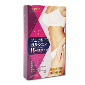 y5w1܂zTvCt vGA{KVjA B-upTv 120yyVqɒhzvGA KVjA B-up Tv _CGbg Tvg vGA~tBJܗLH