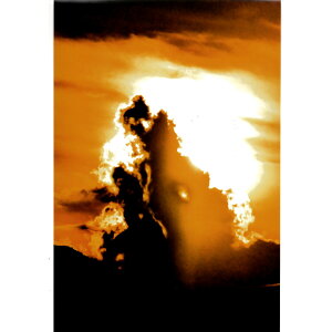 H Ղ̎ʐ^ 133F イEoyS[hJ[zt415m×315mmzՂ̎ʐ^V[Y vJ} H Ri