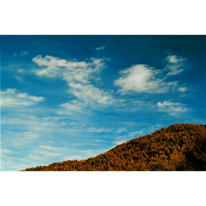 H Ղ̎ʐ^ 򗴁ywVizH Ղ̎ʐ^  ≖ʐ^ A[g pi