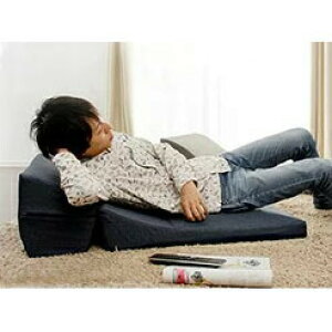 �y�����i�z�y�労�Ӊ��i �z�J�o�[�����O TV�܂��� A573-S �A�b�V���O���[/�C���f�B�S�u���[�y�����E����s�z