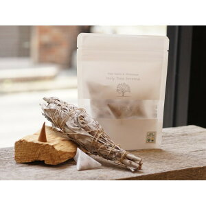 LUCAS pTgGNXgEzCgZ[W CZX 10yyVqɒzq[O 򉻗p̂ ґz }ChtlX K