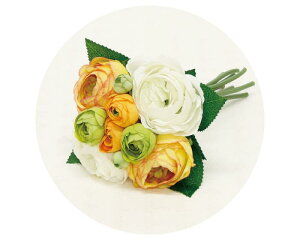 CT|ktu[P I[h[Y CG[ 4208402031瑗 CeAO[  ϗtA 킢 CTG}H L