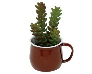 CT���F���I�G�g�[�� �|�e�}�O �u���E�� 420619104���� �t�����[�A�����W �C���e���A�O���[�� CT�G�}���H