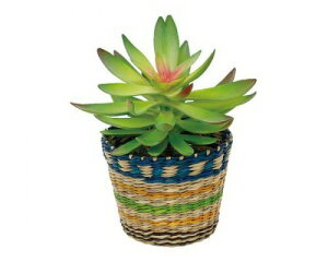 CTnmCoXPbg {[_[BL 420813603 t[AW CeAO[ CTG}H