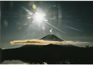 Hǎ Ղ̎ʐ^ _ Ղ̎ʐ^V[Y H Ri 摜 A[g ʐ^ J^F N