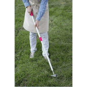 ܂܃NN芙 SV-6148yyVqɒhzyˑŘiIz K[fjO    y