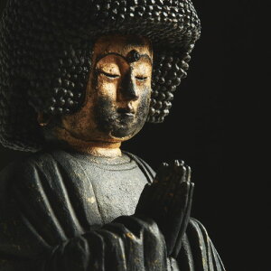 yiE労ӉizTanaCOCORO ܍v҈ tc3525 ԕiLZAs