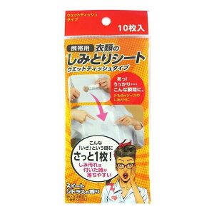 yizy100ZbgzFa gїp ߗނ݂̂ƂV[g 10x100ZbgywViz ݔ gїp ߗ ݂ƂV[g AEghA s