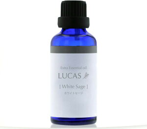 LUCAS GNXgEGbZVIC zCgZ[W 100mlyyVqɒhz A} GbZVIC  A}IC N[[V K