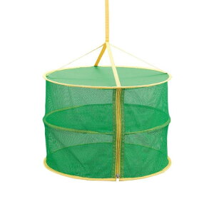 RpNgɂ߂銣lbg 1009735yyVqɒhz Lb`pi lbg  ʕ H튣 2i