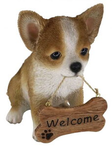 yyVqɒizmΑn hbOI[ig ` WelcomeTC 14233ysiz CeA  u IuWF I[ig