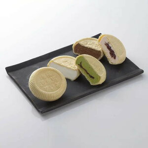 【直送品】横濱馬車道 あいすもなかセット 17個 食品 スイーツ お菓子 ギフト プレゼント